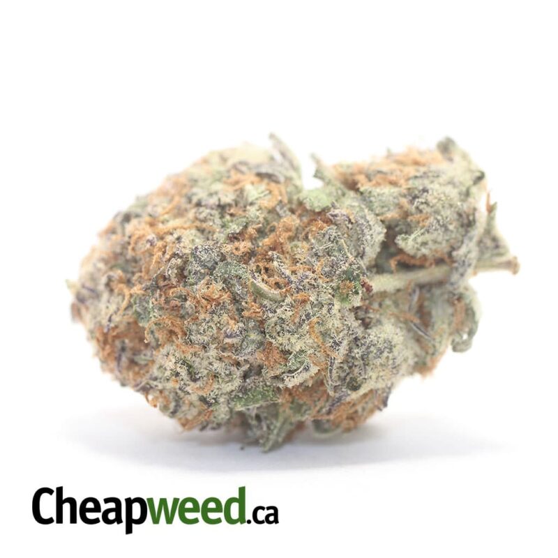 $ 63 Oz – Mendo Cookies