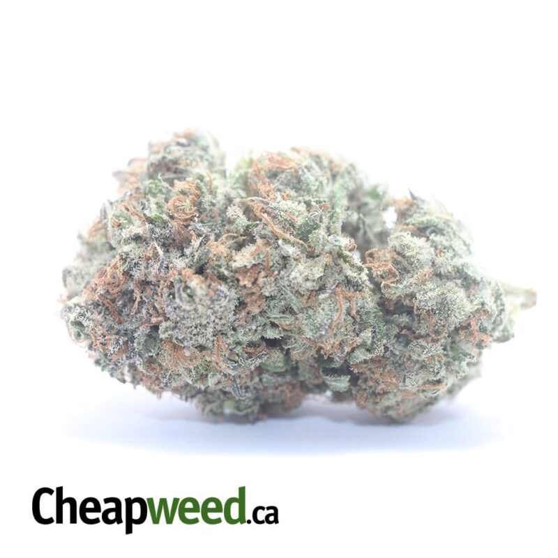 Mendo Cookies