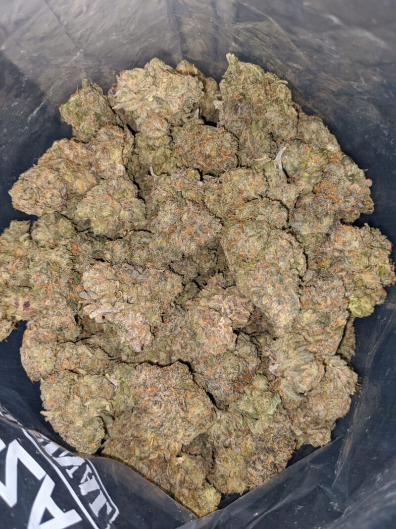Mimosa Champagne - Image 4