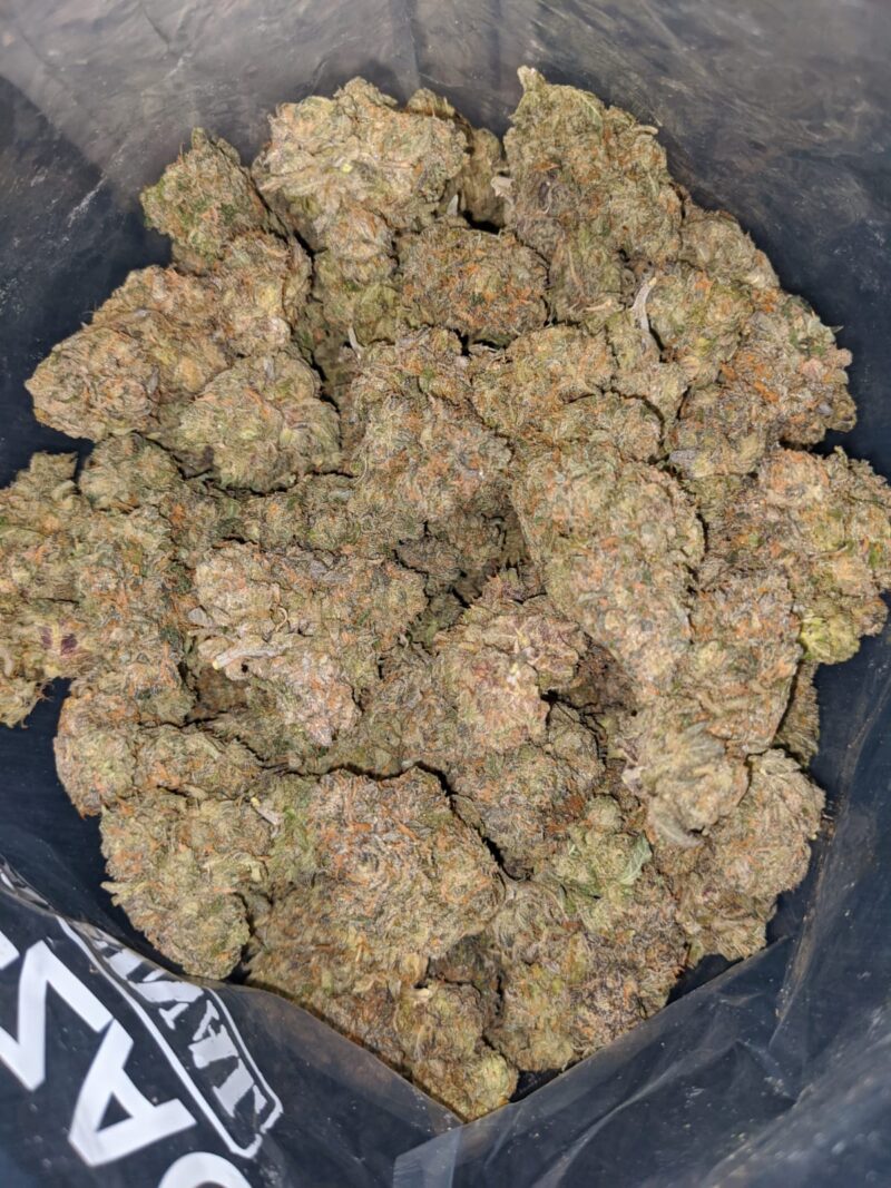 Mimosa Champagne