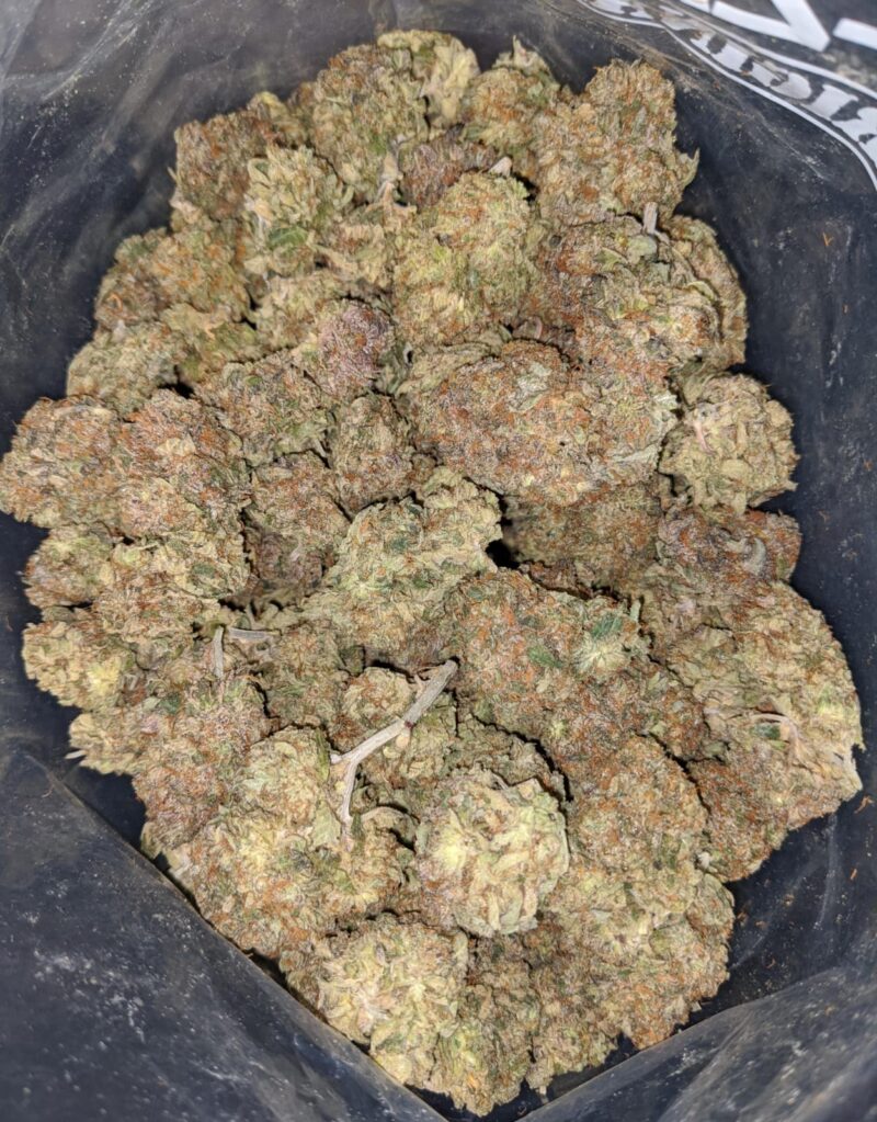 Mimosa Cookies - Image 2