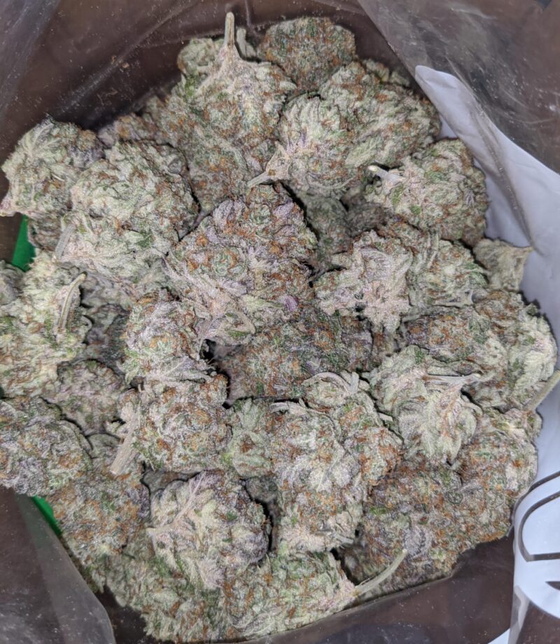 Mimosa Punch - Image 6