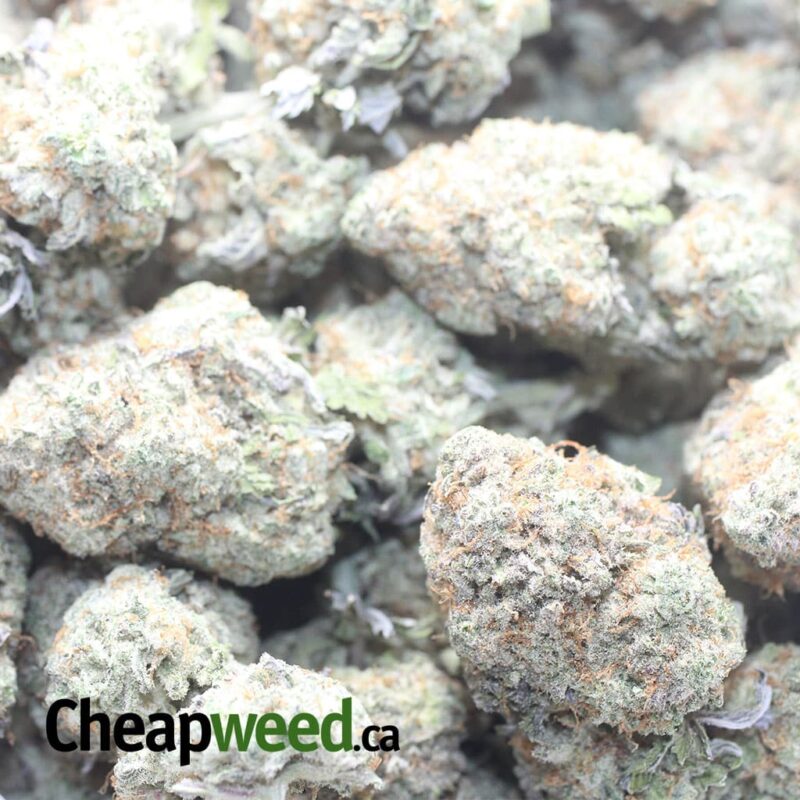 Miracle Alien Cookies #2 - Image 3