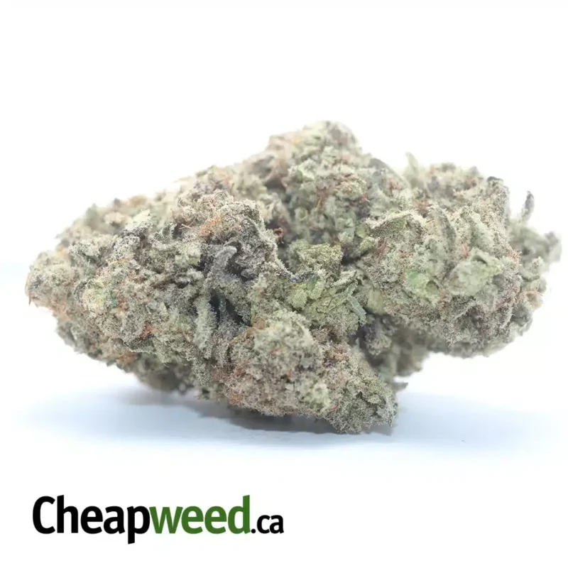 Miracle Alien Cookies