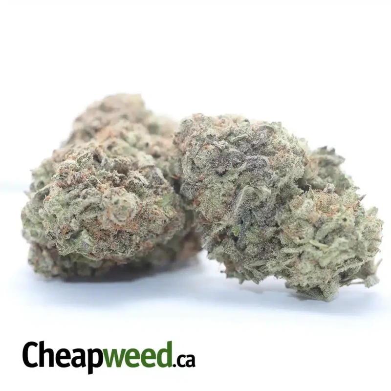 Miracle Alien Cookies - Image 2