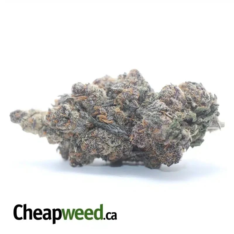 Modifed Grape