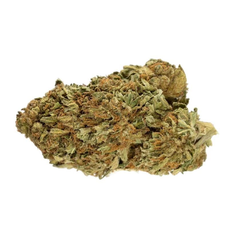 Monkey Glue