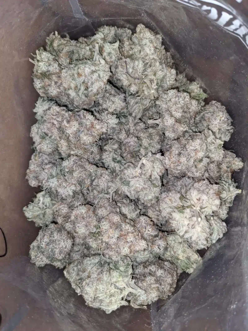 MAC10 x GMO Cookies - Image 4