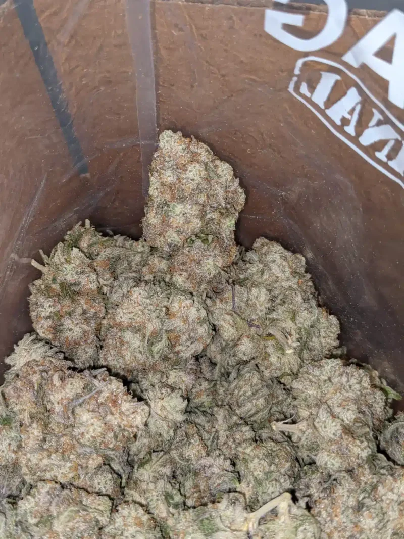 MAC10 x GMO Cookies - Image 6