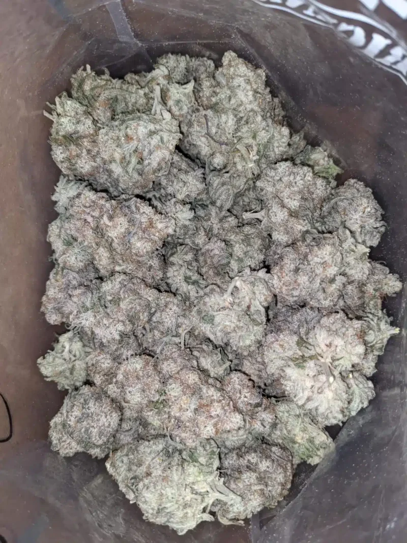 MAC10 x GMO Cookies - Image 5