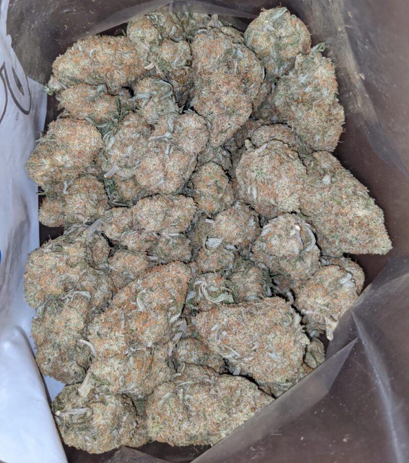 Mango Sherbert - Image 4