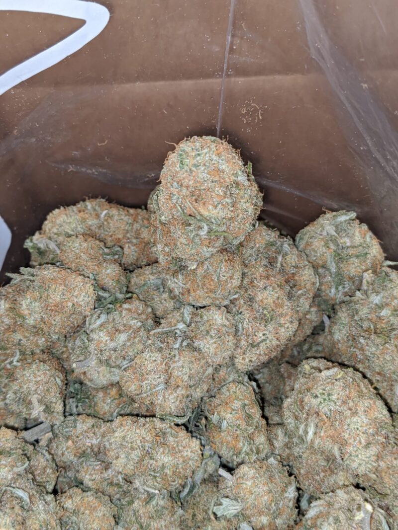 Mango Sherbert - Image 7