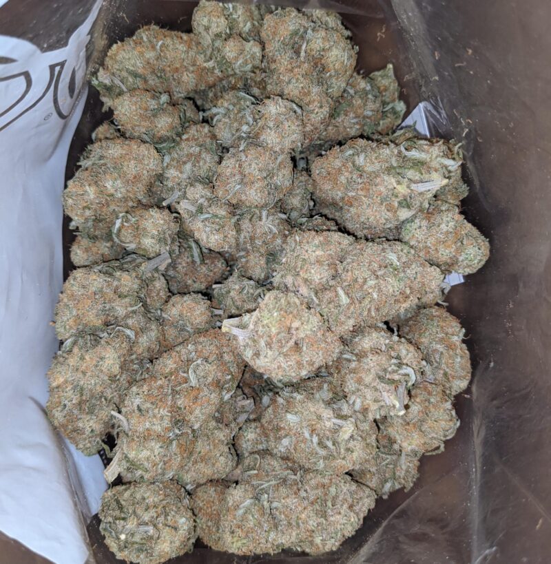 Mango Sherbert - Image 6