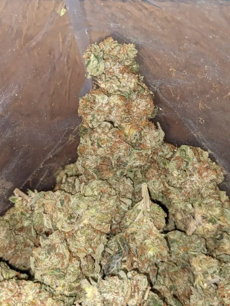 Master Kush - Image 7