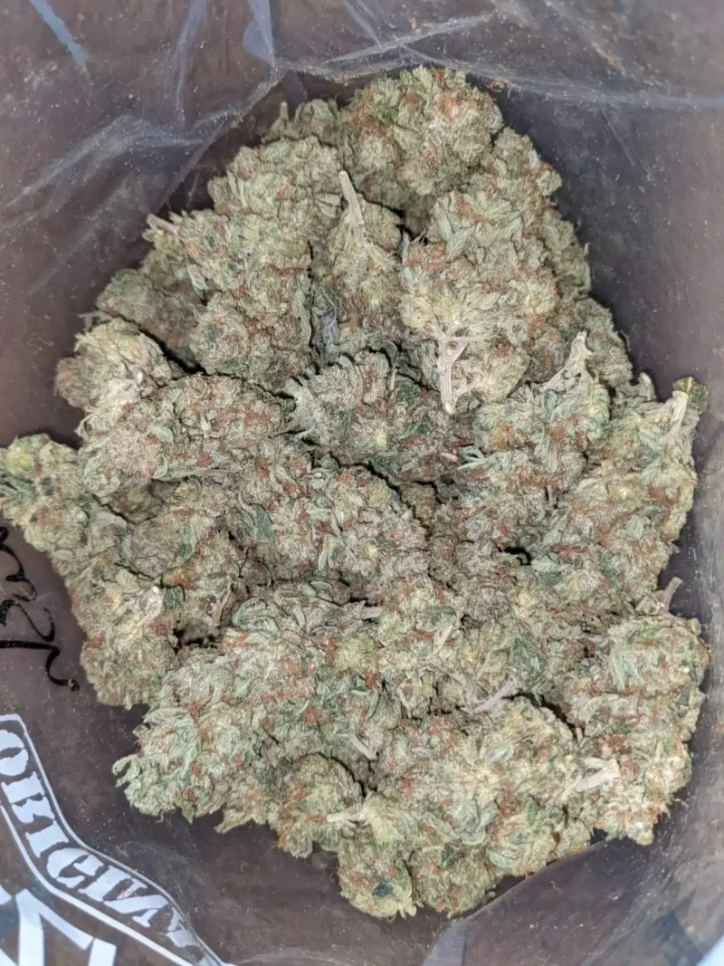 Master Kush - Image 6
