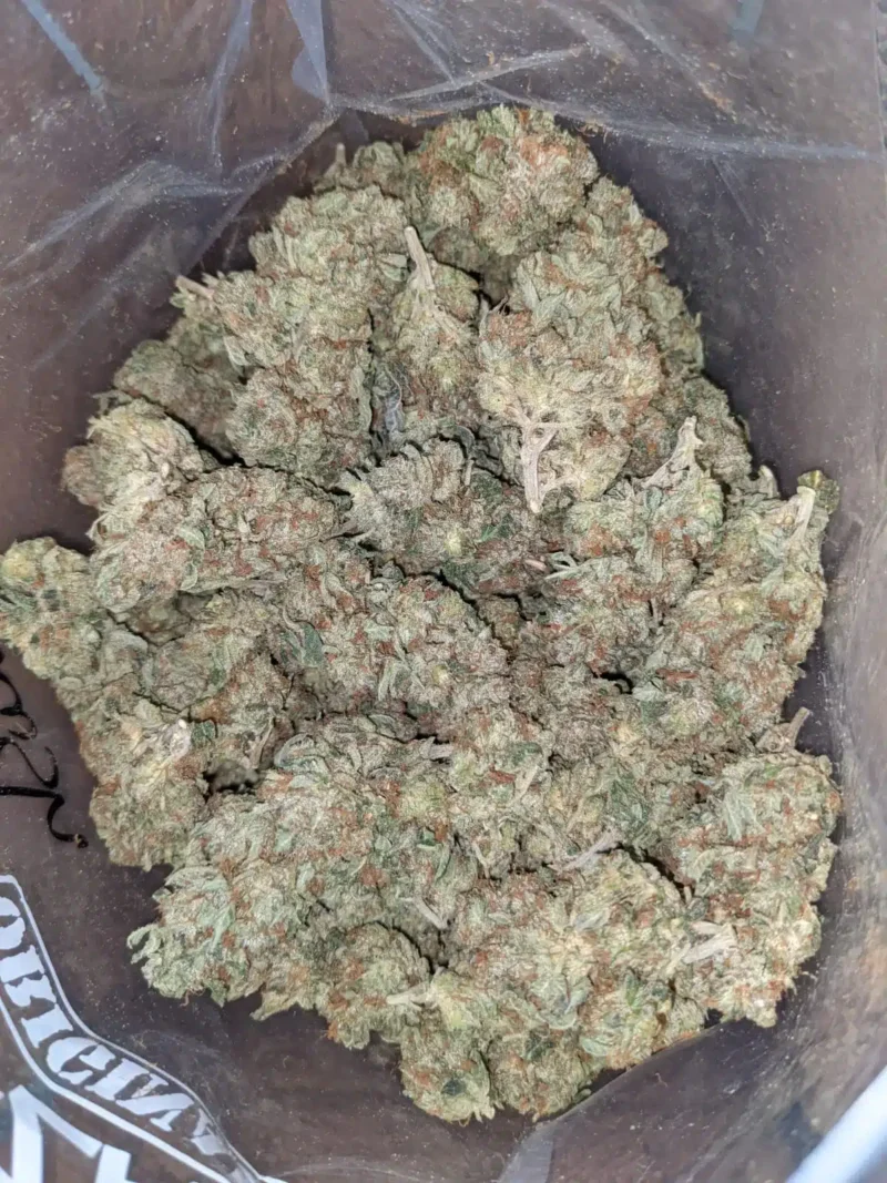 Master Kush - Image 5