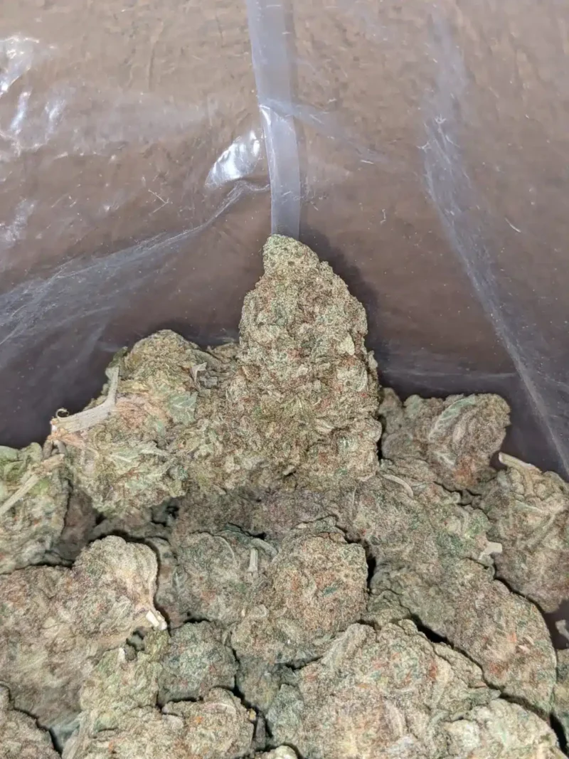Meat Breath - Image 7