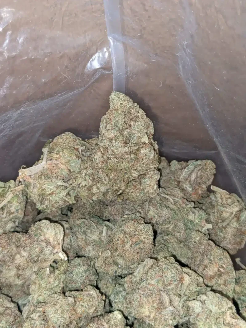 Meat Breath - Image 6