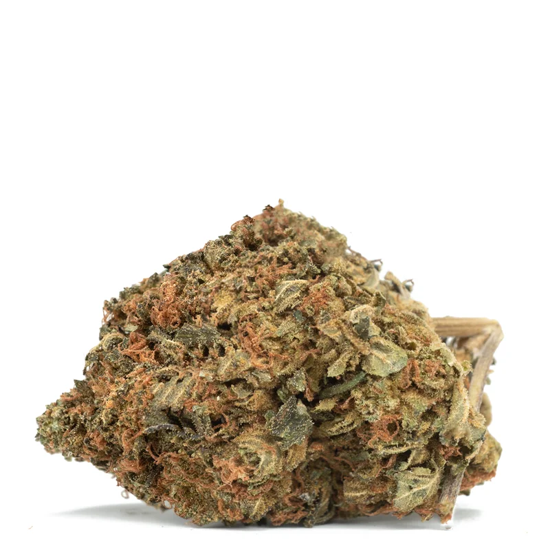 Melon Gum