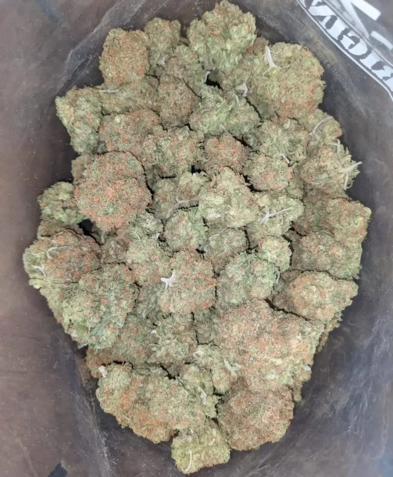 Mimosa - Image 6