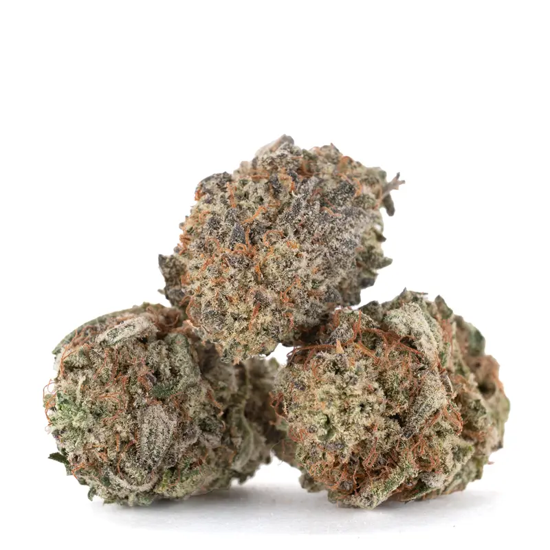 Mimosa