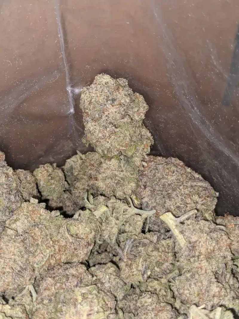 Miracle Alien Cookies - Image 7