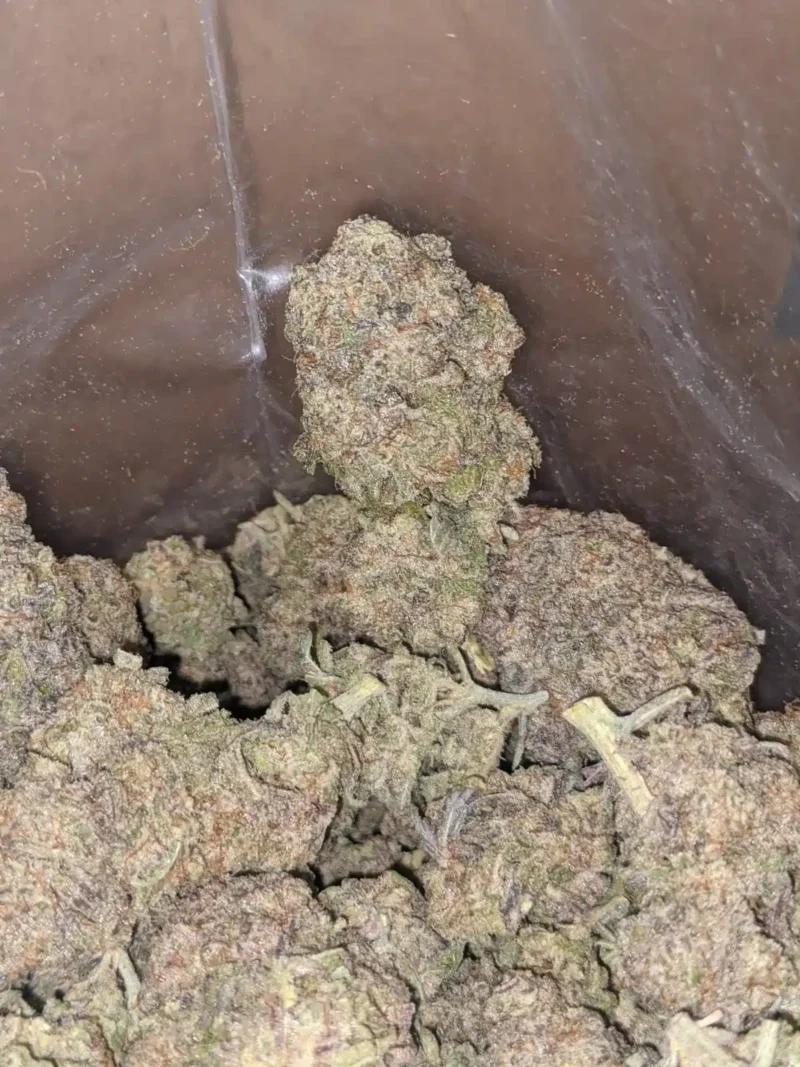 Miracle Alien Cookies - Image 6