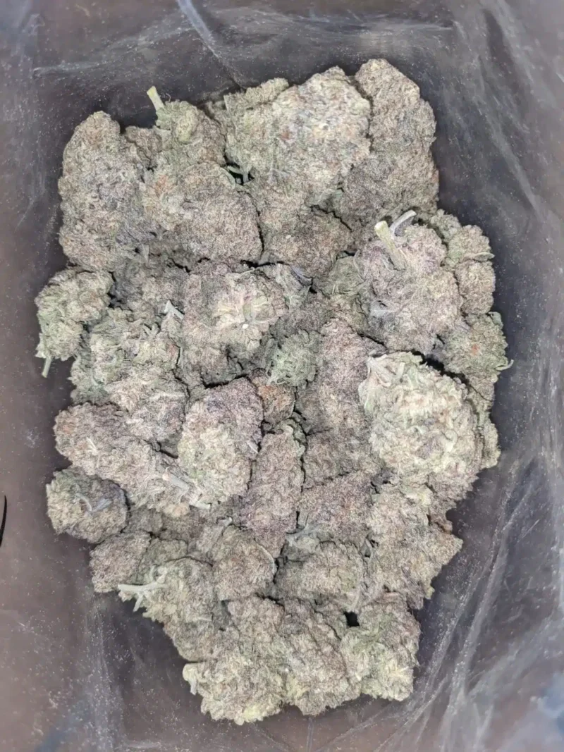 Miracle Alien Cookies - Image 5