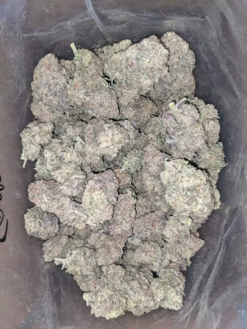 Miracle Alien Cookies - Image 4