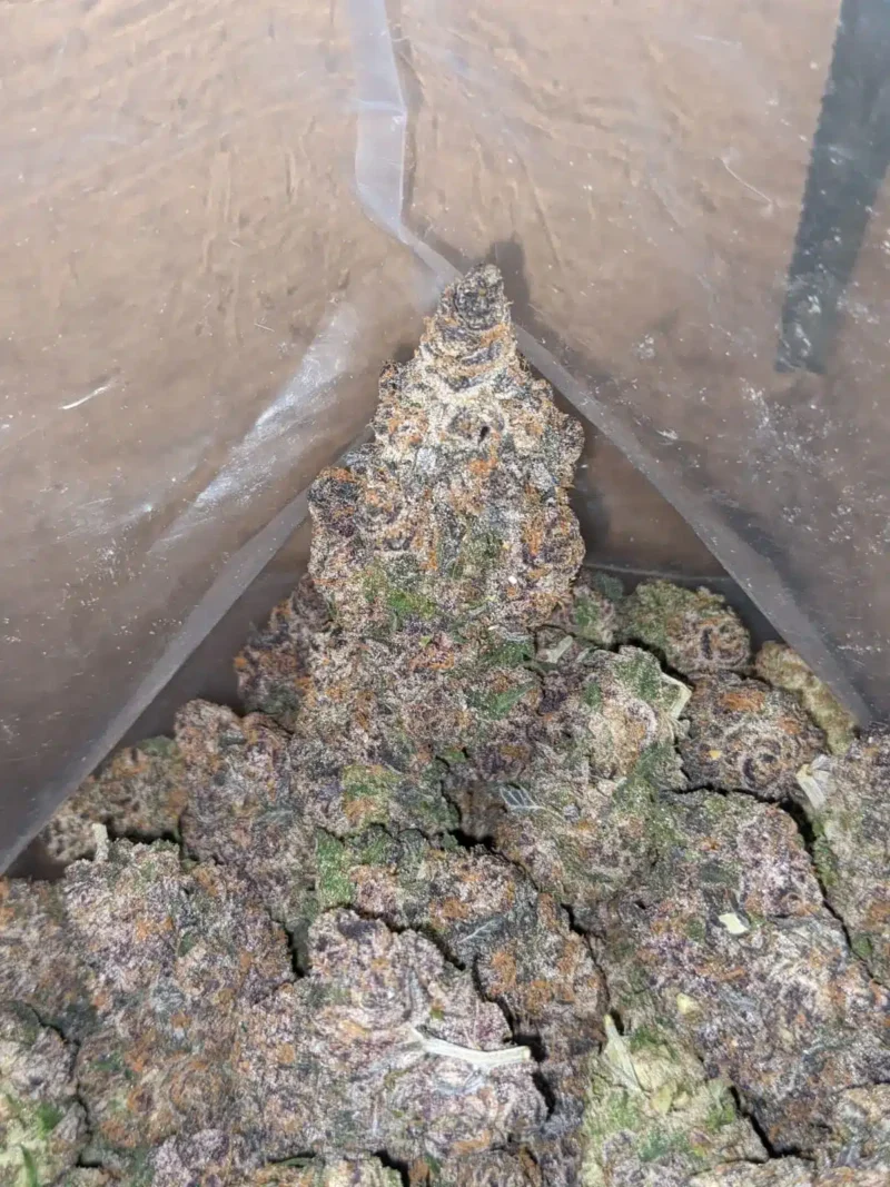 Modifed Grape - Image 7