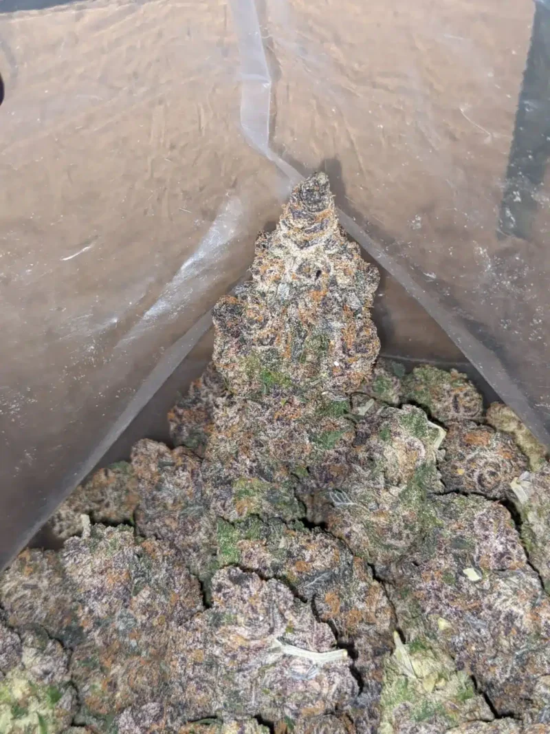 Modifed Grape - Image 6