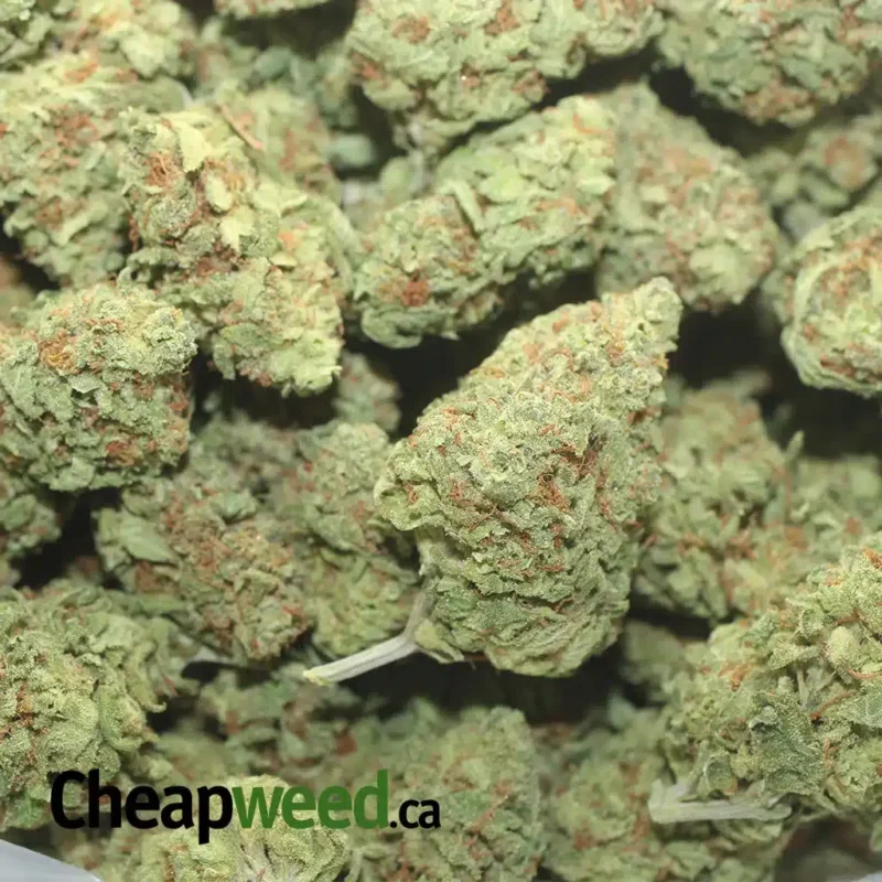 Northern Lights - Image 3