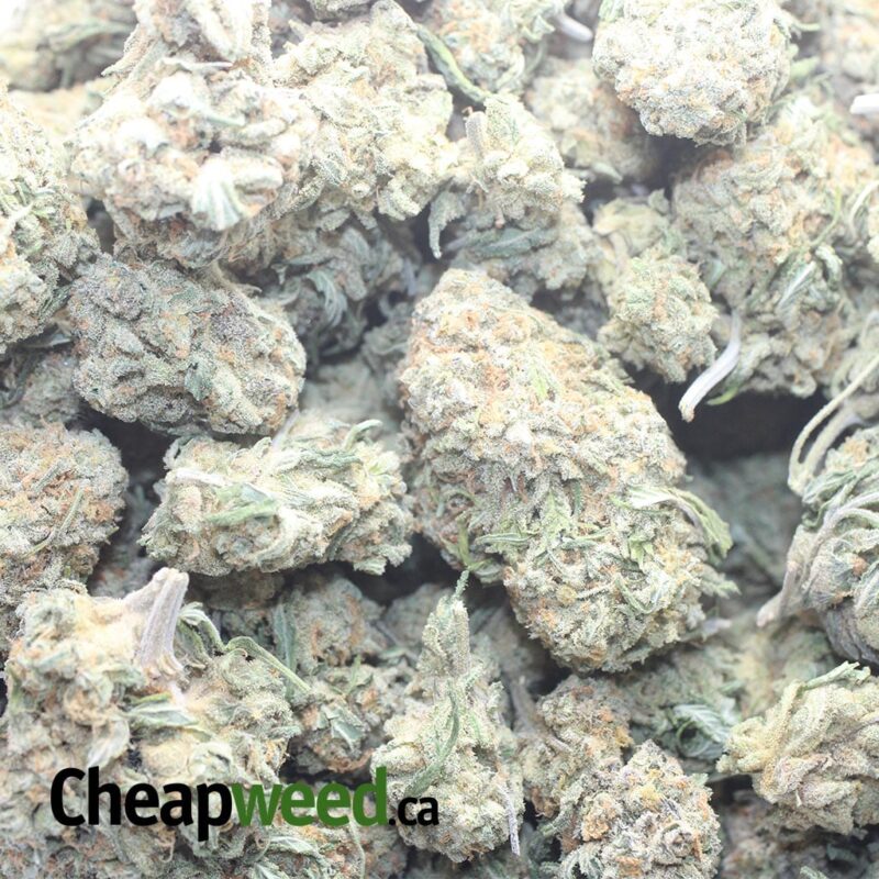 $ 47 Oz – Nukem - Image 3