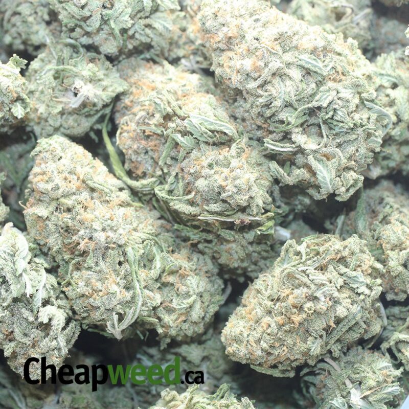 Nuken – *Deal Of The Day* - Image 3