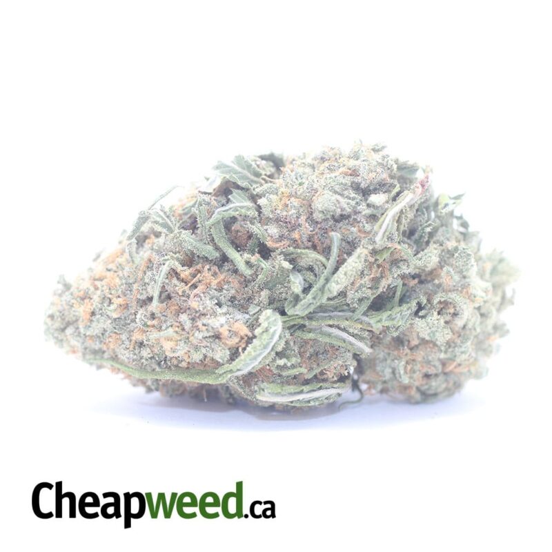 Nuken – *Deal Of The Day*