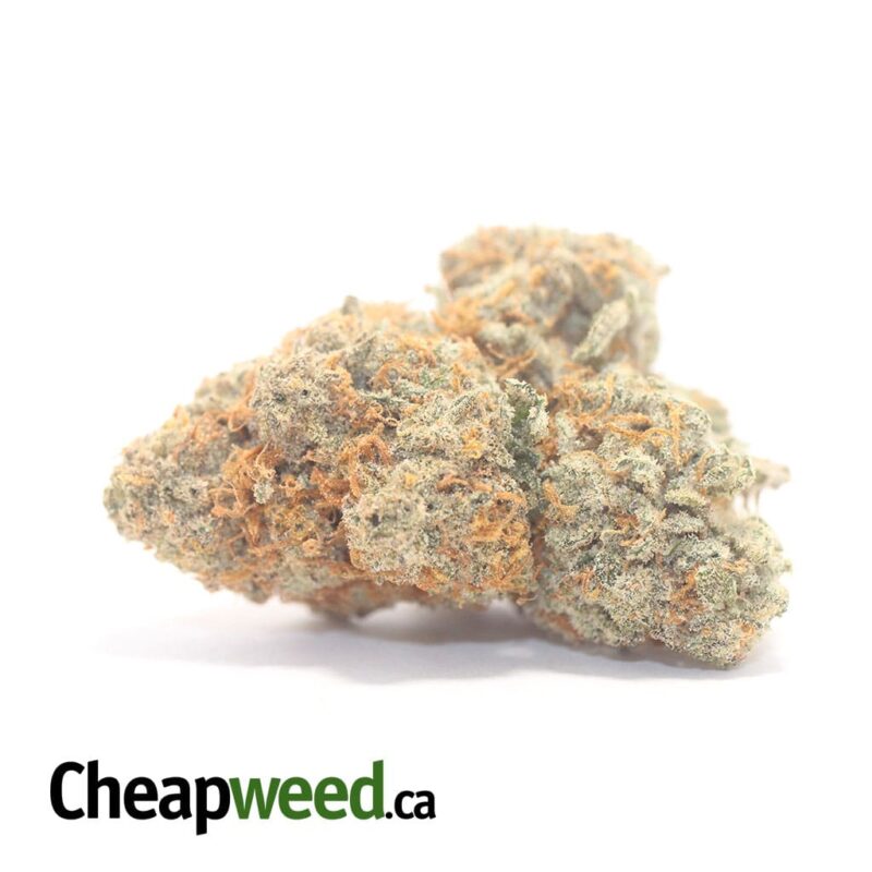NYC Diesel