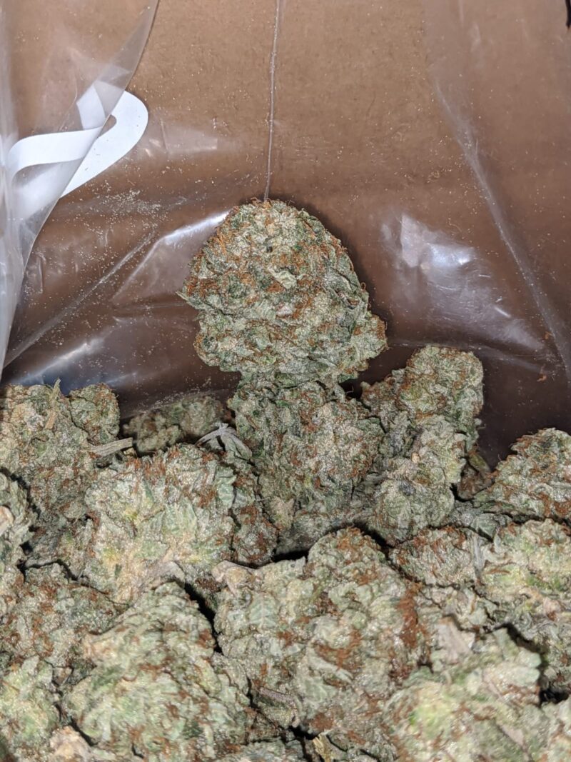 $ 48 Oz – Northern Lights - Image 5