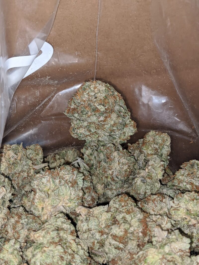 $ 48 Oz – Northern Lights - Image 4