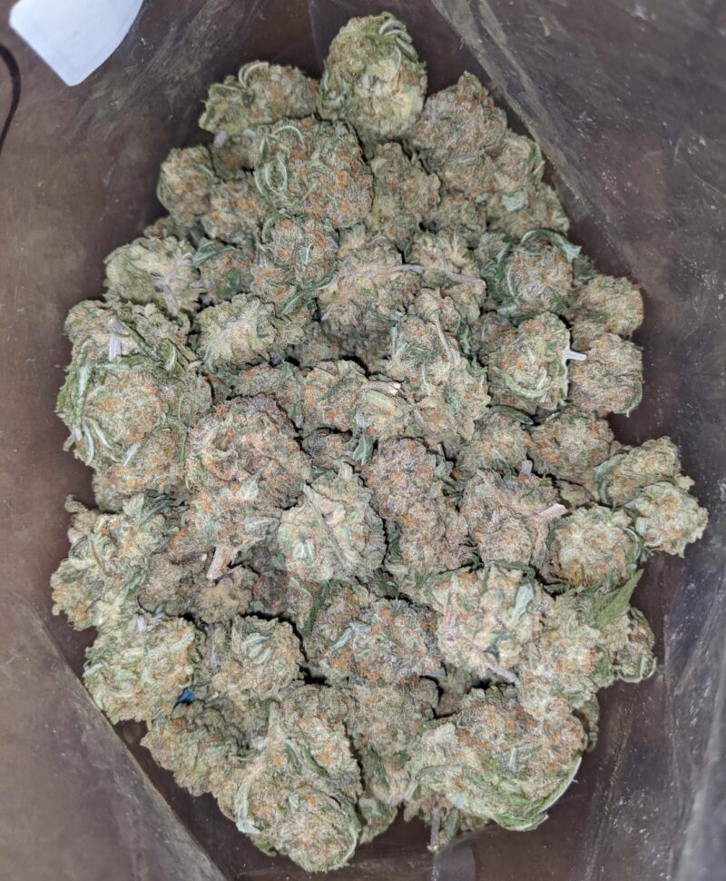 $ 47 Oz – Nukem - Image 4