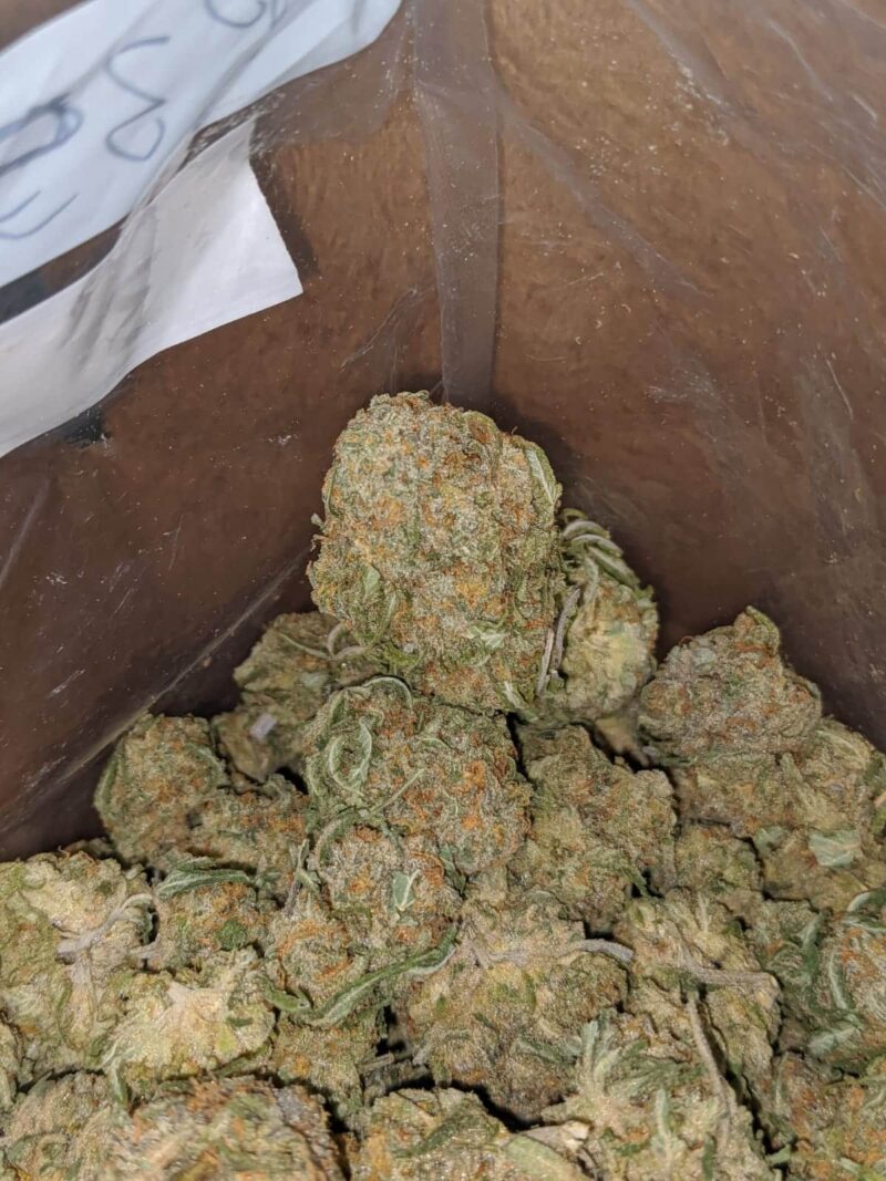 $ 47 Oz – Nukem - Image 7