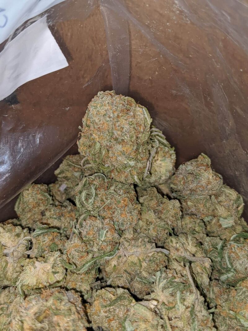$ 47 Oz – Nukem - Image 6