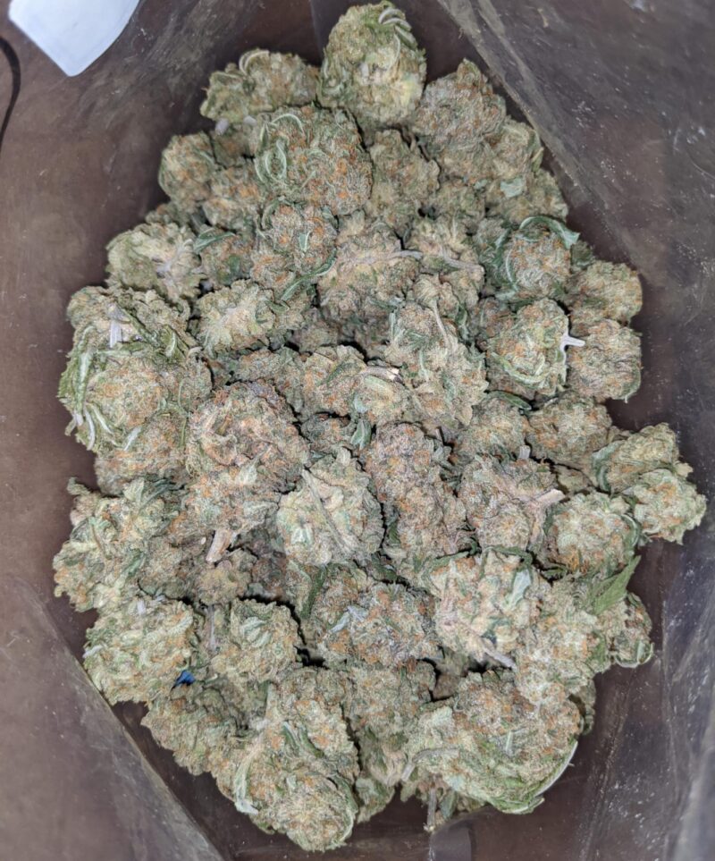 $ 47 Oz – Nukem - Image 5