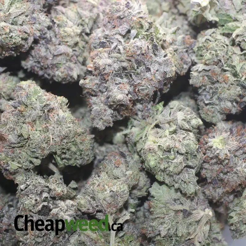 Obama Kush AAAA - Image 3