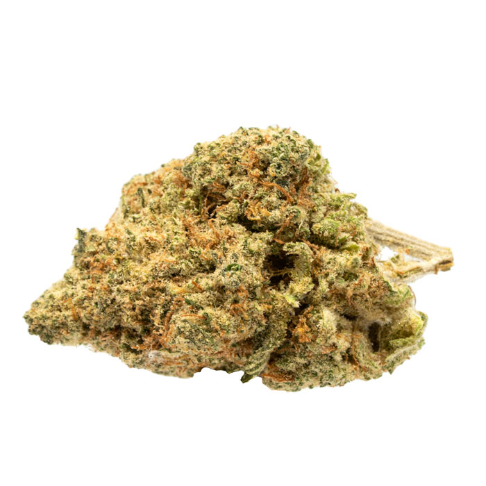 OG Shark