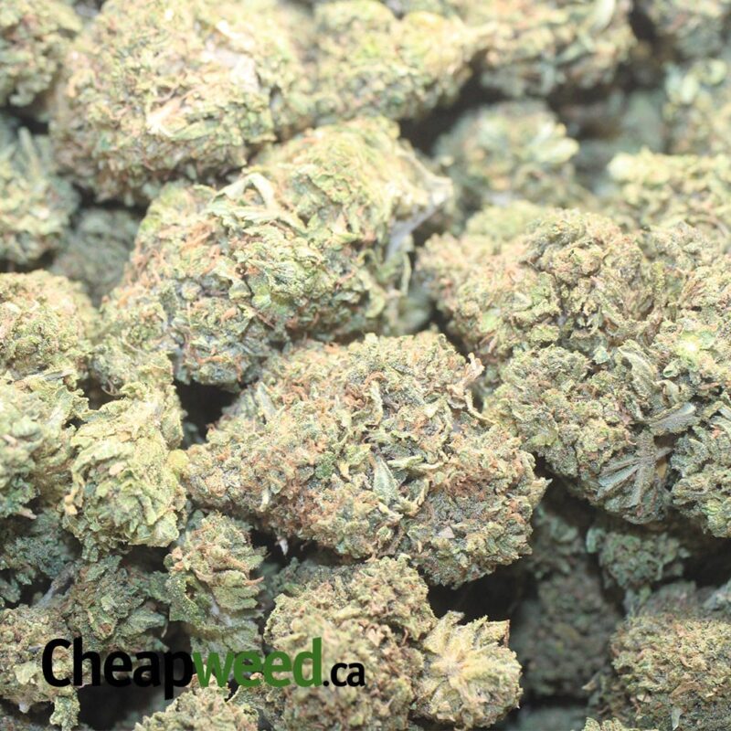 OG Wreck – *Deal Of The Day* - Image 3