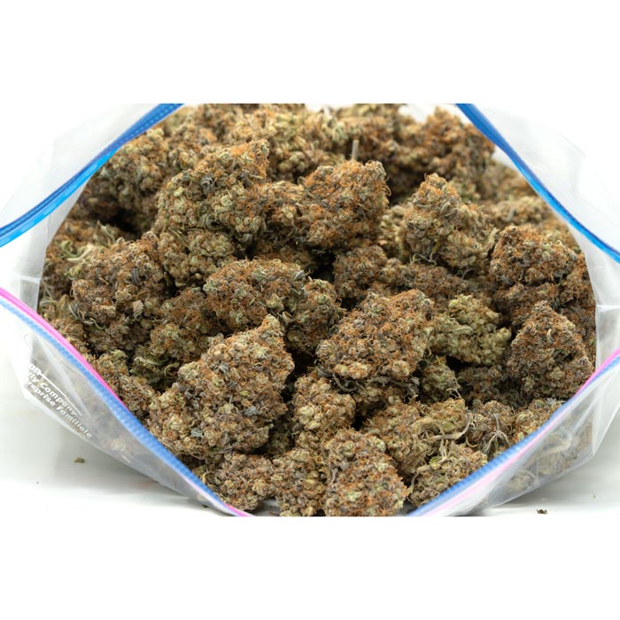 OMAC Orange Miracle Alien Cookies
