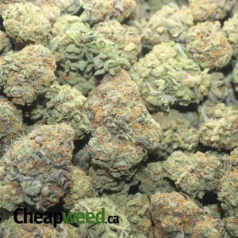 Orange Candy - Image 3