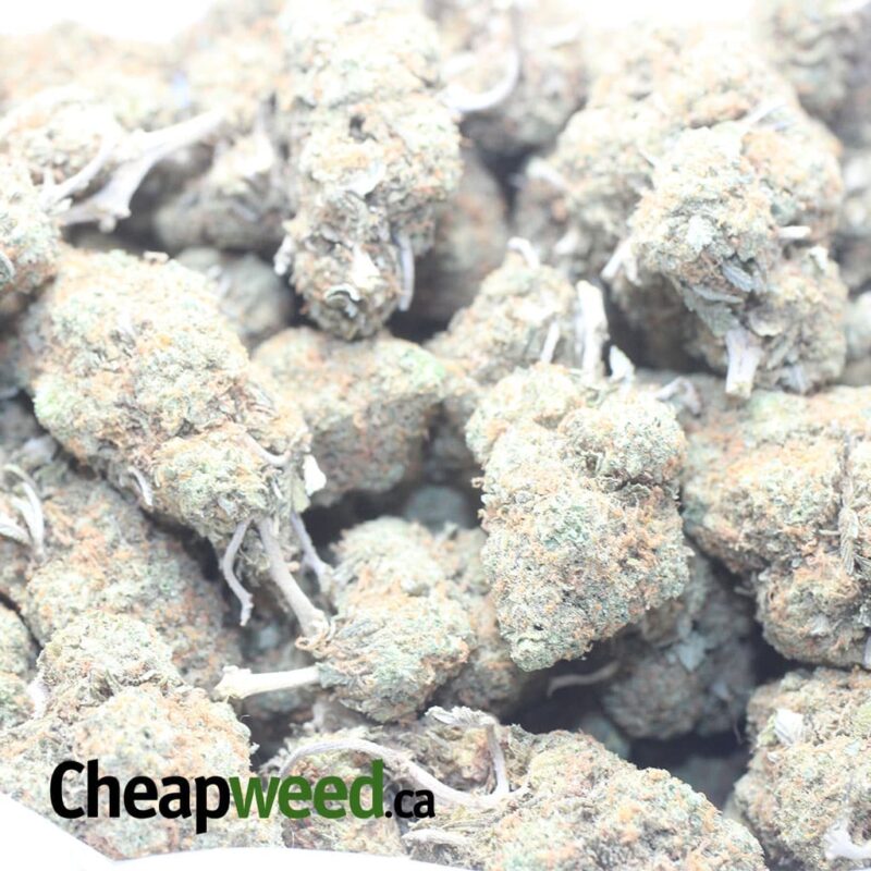 Orange Haze - Image 3