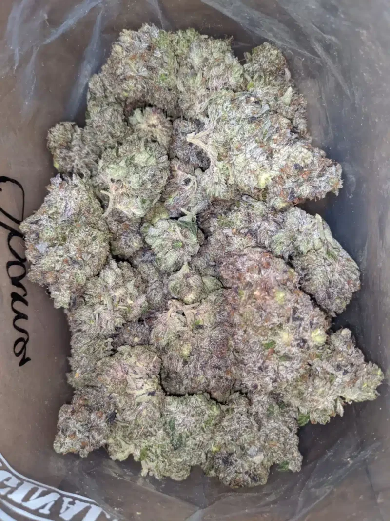 Obama Kush AAAA - Image 5