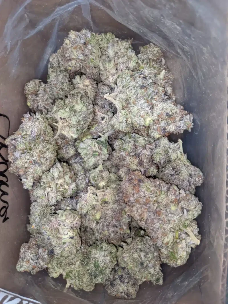 Obama Kush AAAA - Image 4